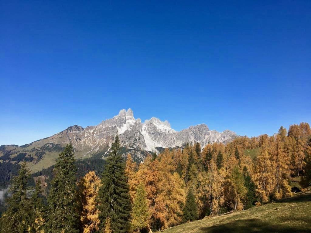 Appartementhaus Reiter Village Room アルテンマルクト・イム・ポンガウ エクステリア 写真